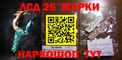 крисы Майкоп