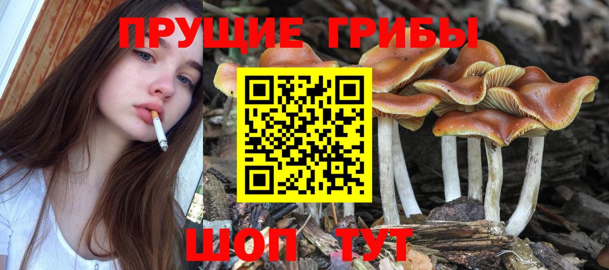 Псилоцибиновые грибы Magic Shrooms Челябинск